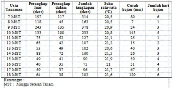 Tabel 1. Pengaruh  cuaca (suhu, curah hujan, jumlah hari hujan) terhadap hasil tangkapan perangkap lalat  buah di Desa Pulosari Pangalengan