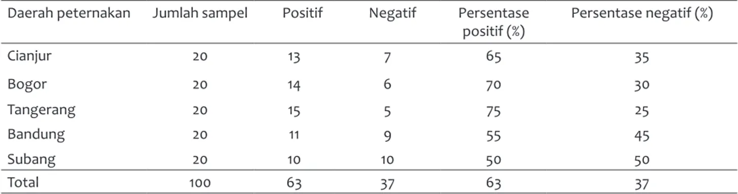 Tabel 3 menunjukkan kelompok biosekuriti yang  buruk memiliki nilai hasil positif ELISA antibodi  se-besar  49  ekor  (72,05%)  sedangkan  dari  kelompok  biosekuriti yang baik mempunyai nilai yang lebih  kecil yaitu 14 ekor (43,75%)