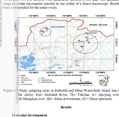 Figure 2.1 Study sampling areas in Embaloh and Sibau Watersheds (black line in 