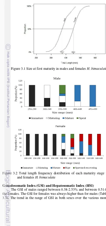 Figure 3.1 Size at first maturity in males and females  H. bimaculata 