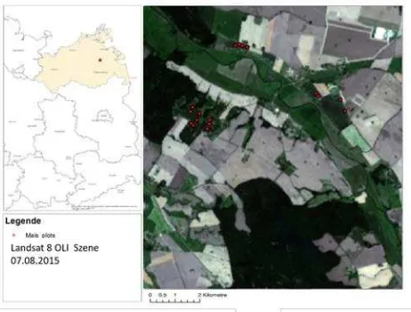 Figure 1: Study site and location of ESUs on maize fields 