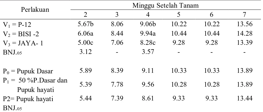 Tabel 2. Rataan Jumlah Daun (helai) dari varietas dan Pupuk 