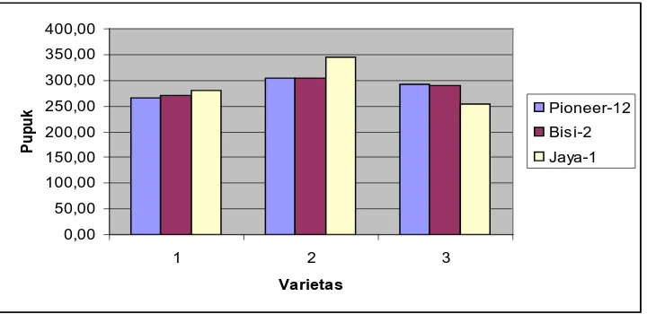 Gambar 2. Diagram Jumlah Biji Pertongkol dari Varietas dan Pupuk 