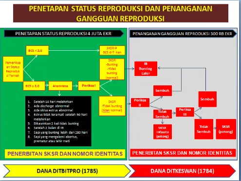 Gambar 4. Penetapan Status Reproduksi dan Penanganan Gangguan reproduksi 