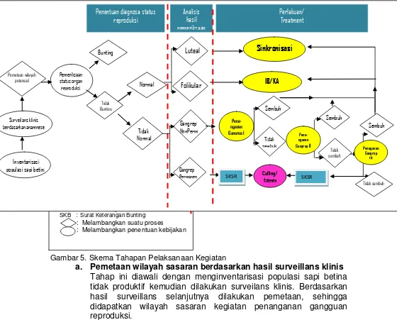 Gambar 5. Skema Tahapan Pelaksanaan Kegiatan 