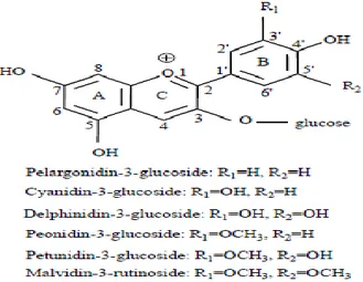 Gambar 2. 4 Struktur 6 Jenis Antosianidin, dalam Bentuk Glukosida dengan Glukosa 