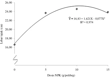 Gambar 9. Grafik hubungan lebar tajuk tanaman 13 MST dengan pemberian beberapa dosis pupuk NPK 