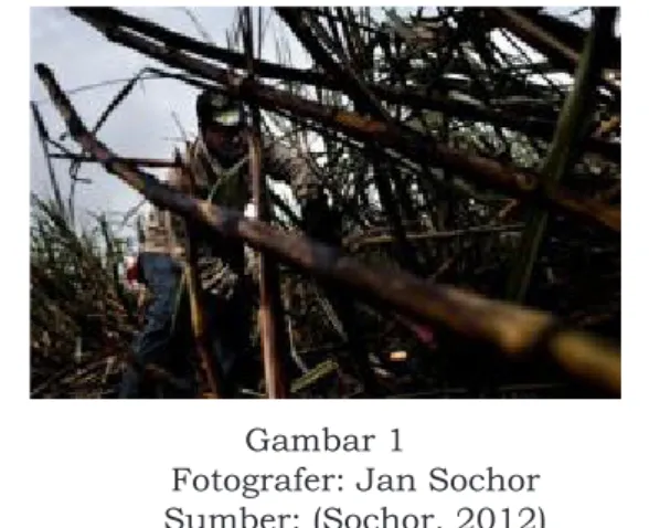 Foto  dokumentasi  memang  tidak  ubahnya seperti sinopsis sebuah film, yaitu  foto yang menceritakan jalan cerita suatu  acara atau peristiwa (Sugiarto, 2005)