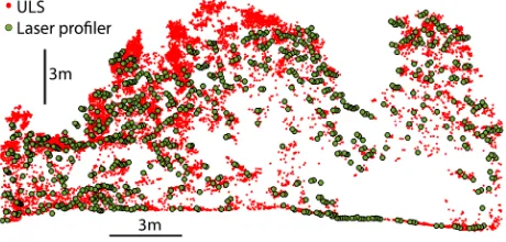 Figure 5: Cross section in vegetated riparian area;  laser profiler (green), ULS (red) 