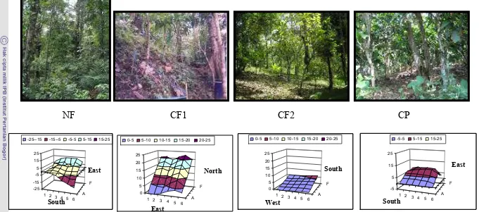 Figure 3.4. Four land use types as study sites, above: vegetation structure, below: topographic plot, NF: natural forest, CF1: cacaoagroforestry system under remaining forest cover, CF2: cacao agroforestry system under local shade trees, CP: cacao agroforestrysystem under planted shade trees.