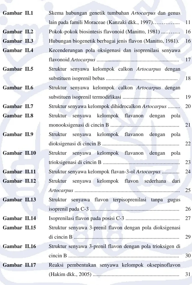 Gambar  II.1    Skema hubungan genetik tumbuhan Artocarpus dan genus  lain pada famili Moraceae (Kanzaki dkk., 1997)…………...