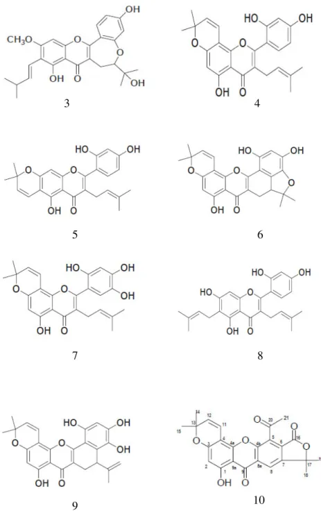 Gambar  1.  Struktur  senyawa  hasil  isolasi  Artocarpus  altilis  Park  sikloartokarpin  (1),  artokarpin  (2),  kaplasin  (3),  morusin  (4),  kudraflavon B (5), sikloartobilosanton (6), artonin E (7), kudraflavon  C (8), artobilosanton (9), artonol B (