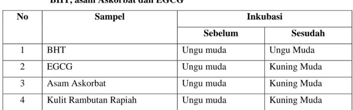 Tabel 2. Perubahan Warna Ekstrak Metanol Kulit Rambutan Varietas   Rapiah,  BHT, asam Askorbat dan EGCG 