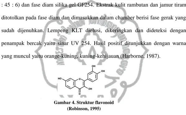 Gambar 4. Struktur flavonoid  (Robinson, 1995) 