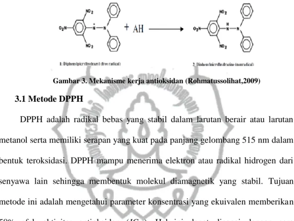Gambar 3. Mekanisme kerja antioksidan (Rohmatussolihat,2009) 