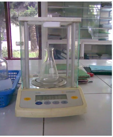 Gambar Neraca Analitik 