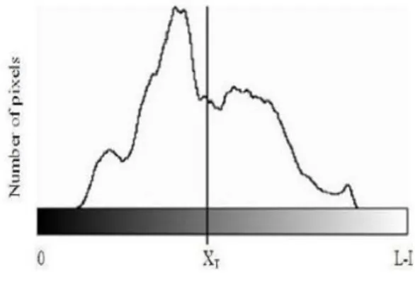 Gambar 2. Grafik Histogram[20]  Citra  kontras  ditentukan  oleh  rentan  dinamis,  yang  didefinisikan  sebagai  perbandingan  antara  bagian  paling  terang  dan  paling  gelap  intensitas  piksel