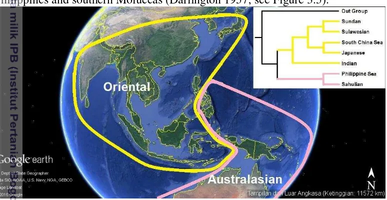 Figure 3.5  General areagram, or biogeographical pattern of the area throughout 