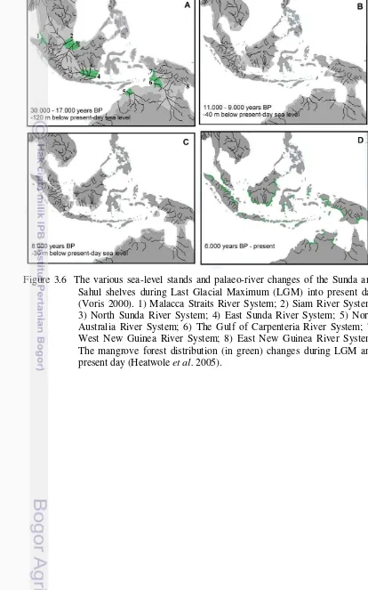 Figure 3.6  The various sea-level stands and palaeo-river changes of the Sunda and 