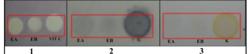 Gambar 1. Hasil analisis kualitatif dengan reagen semprot DPPH (1); reagen semprot FeCl 3  (2); dengan sitroborat 