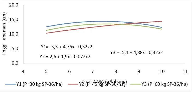 Gambar 1. Garis Hubungan Regresi Antara Pupuk Fosfat Dengan Tinggi Tanaman Pada Umur 21 HST Pada Berbagai Dosis CMA 