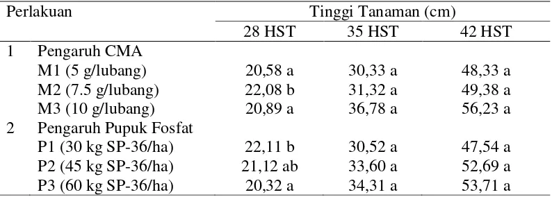 Tabel 2. Pengaruh Pupuk Fosfat dan Cendawan Mikoriza Arbuskula (CMA) Terhadap Tinggi Tanaman Umur 28 HST, 35 HST, dan 42 HST 