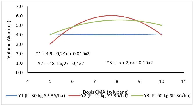 Gambar 4. Garis Hubungan Regresi Antara Pupuk Fosfat Dengan Volume Akar Pada Umur 35 HST Pada Berbagai Dosis CMA 