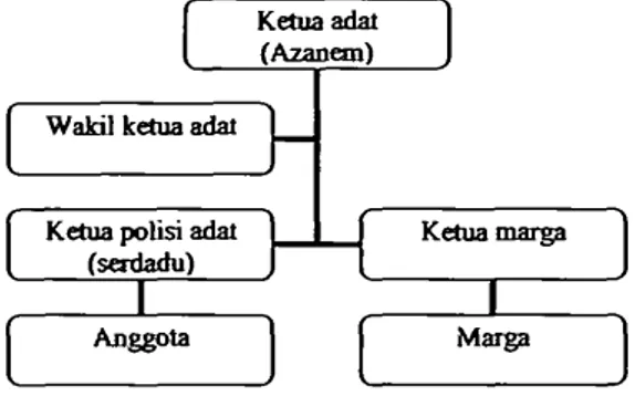 Gambar struktur organisasi adat suku Malind Anim 