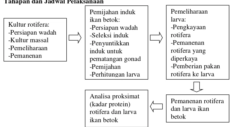 Tabel 1. Jadwal pelaksanaan penilitan PKM-Superoti 