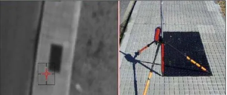 Figure 6. In this aerial image the white stripes seem to be clearly defined, while the visit in the field revealed that the 