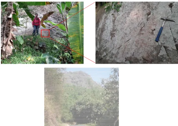 Gambar 10. Sayatan Tipis Batuan Beku Intrusi Andesit Porfiri Sampel E11.  Deskripsi Mikroskopis: 