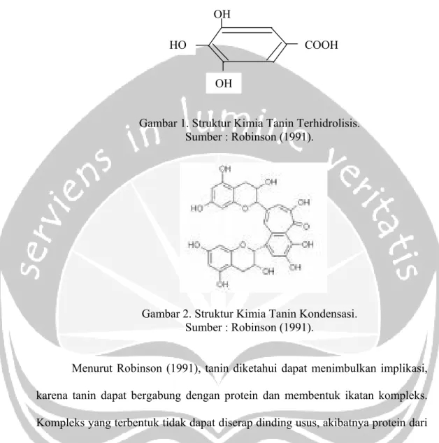 Gambar 1. Struktur Kimia Tanin Terhidrolisis.   Sumber : Robinson (1991). 