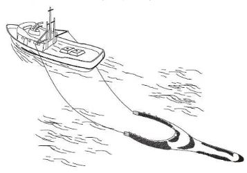 Gambar 9. Pukat hela pertengahan dua kapal (Pair trawls) 