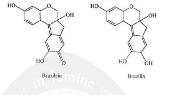Gambar 2. Struktur molekul brazilein dan brazilin (Indriani, 2003)   Dikatakan oleh Holimesti (2009), bahwa eter dan alkohol akan menimbulkan  warna  kuning  pucat  terhadap  larutan  brazilin