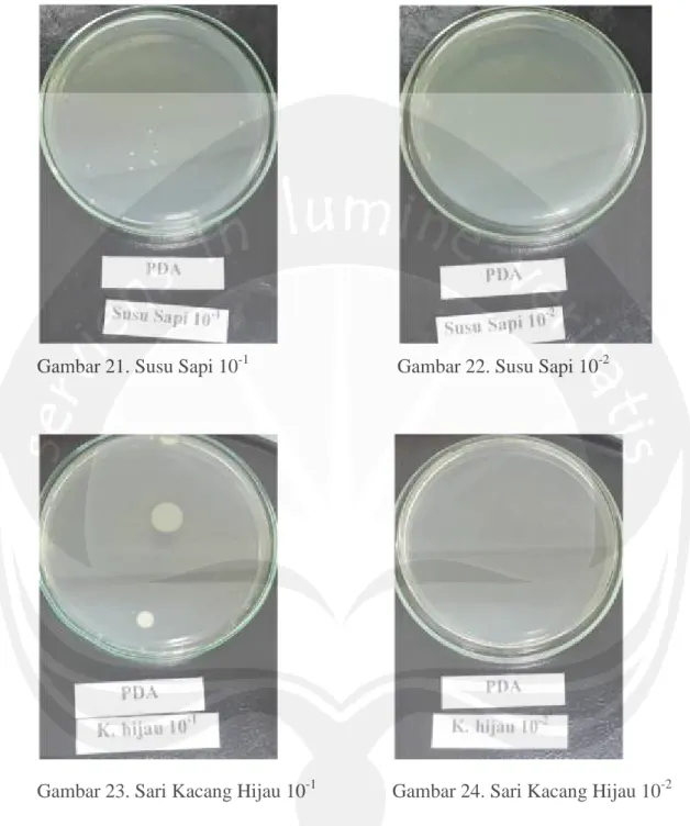 Gambar 21. Susu Sapi 10 -1 Gambar 22. Susu Sapi 10 -2