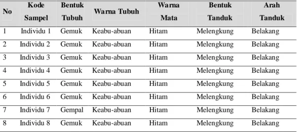 Tabel 4.1 Data Hasil Pengamatan Ciri-Ciri Fenotip Populasi 1 (Kerbau di Dusun Sumber Wuluh, Desa Tambahrejo, Candipuro, Lumajang)