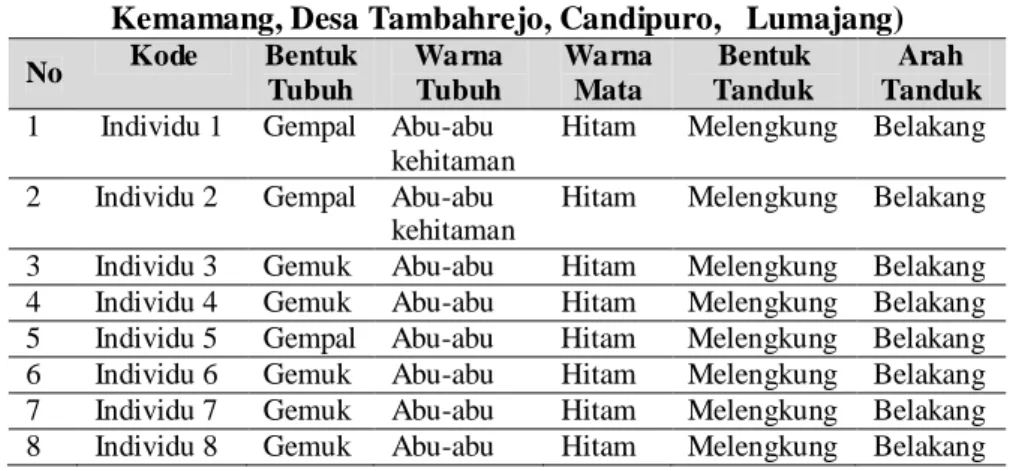 Tabel 4.4 Data Hasil Pengamatan Ciri-Ciri Fenotip Populasi 2 (di Dusun Kemamang, Desa Tambahrejo, Candipuro, Lumajang)