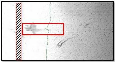 Figure 2. The backscatter image of snag buried in the river bed at upstream area (roughest textures) 