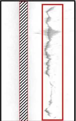 Figure 5. The backscatter image showing variation grey scale of different features such as grass and rock at downstream area (smoothest textures) 