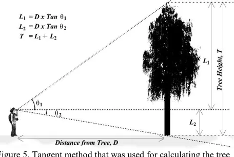 Figure 4. The bias of tree height in task 3. 