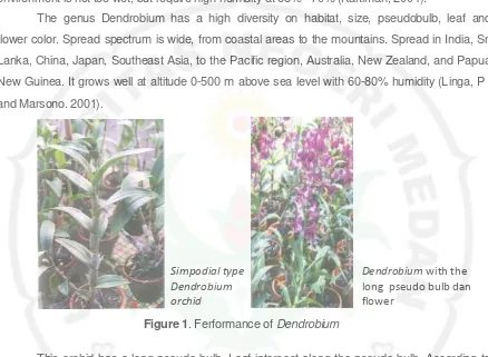 Figure 1. Ferformance of Dendrobium 
