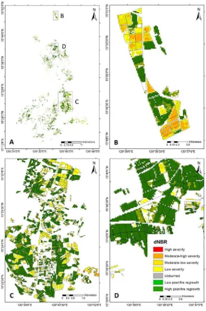 Figure 4. Burn Severity maps of Feb to May dNBR for (A) the entire Tarlac; zoomed in images of (B) San Manuel in the north, (C) La Paz and Concepcion in the south and (D) Paniqui and Ramos in the middle portion of Tarlac