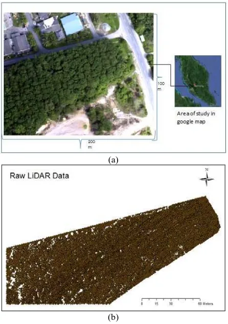 Figure 2. (a) Map of study area Simpang Pelangai, Bentong, Pahang for rubber area, and (b) raw LiDAR data 