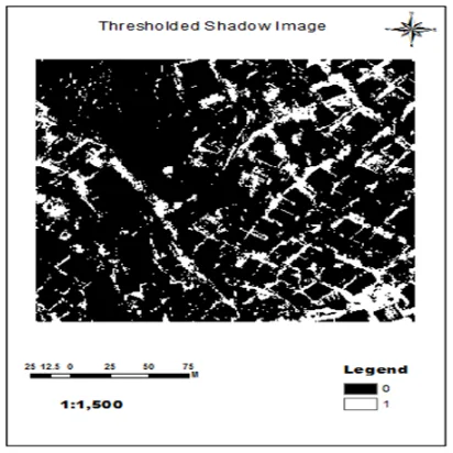Figure 6. Shadow index image  