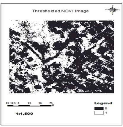 Figure 10. Shadow free vegetation image. 
