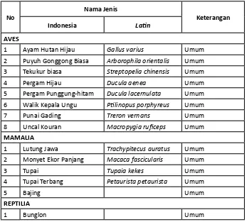 Tabel. 05 Jenis satwa yang dijumpai di kawasan Ijen sebagai potensial pakan Elang Jawa  