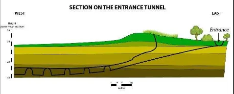 Figure 1. Section of the tunnels network entrance. 