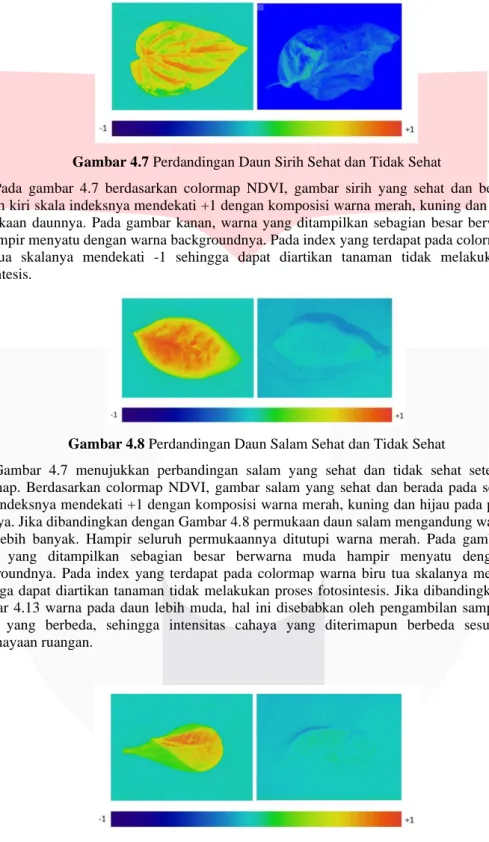 Gambar 4.7 Perdandingan Daun Sirih Sehat dan Tidak Sehat 