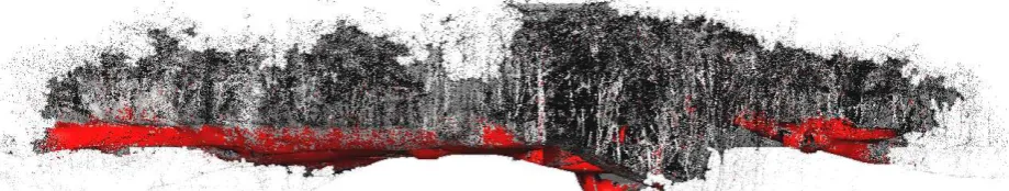 Figure 7: Supervised point cloud segmentation of the Seiano’s Gate point cloud (red: vegetation; light blue: stone)