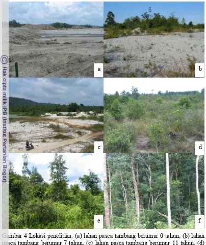 Gambar 4 Lokasi penelitian. (a) lahan pasca tambang berumur 0 tahun, (b) lahan 